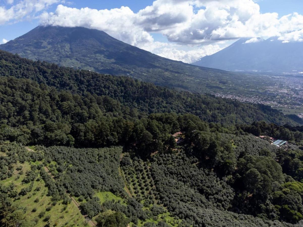 Omg Villa Jaguar Mama Avocado Farm Hills Of Antigua San Juan Obispo Exterior photo